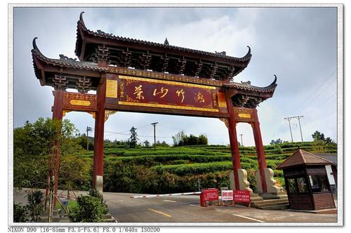 ����������ɽ�񺣹���ɭ�ֹ�԰