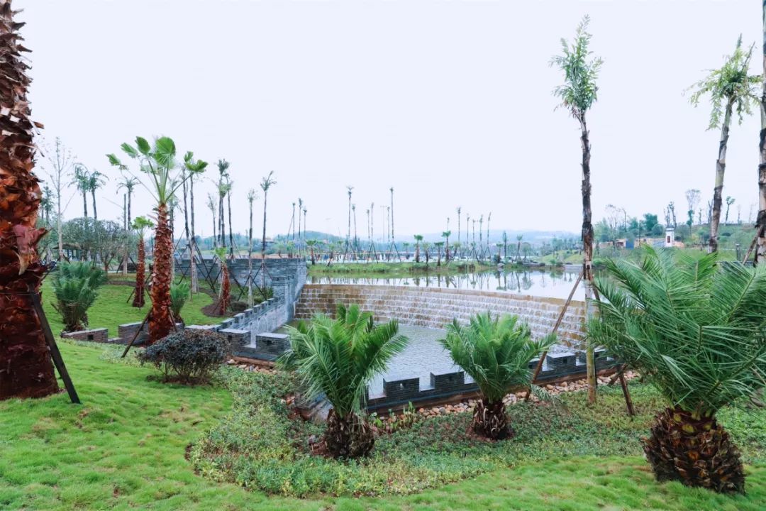 �������ͯ��԰