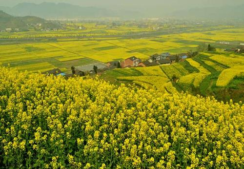 �����Ͳ˻�