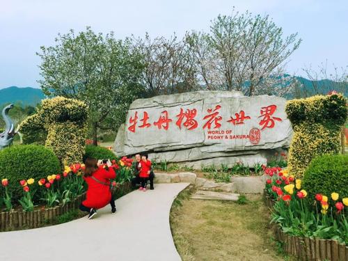 ĵ��ӣ������