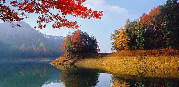 ����ֲ��԰