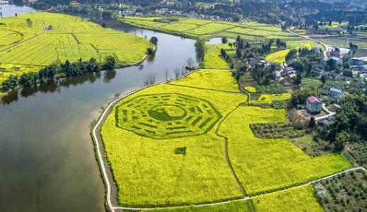 ���ҹ���˻�������