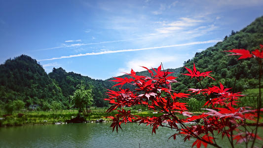 ���Ӿ���