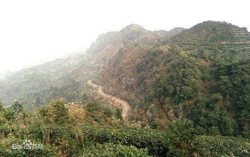 茅庵森林公园
